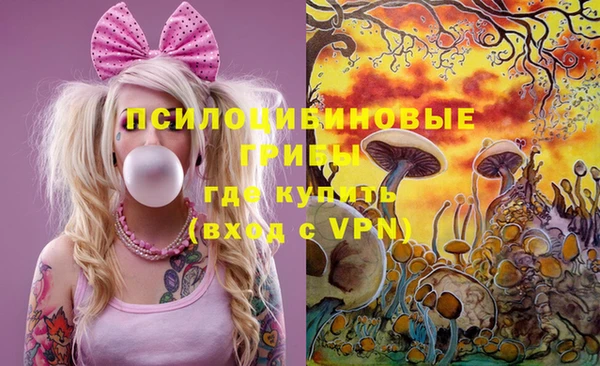 альфа пвп Алексеевка