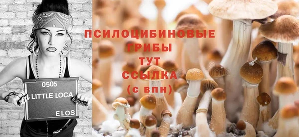 прущие крисы Абаза